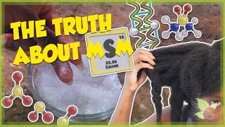 The truth about MSM Does it really make your hair grow [upl. by Drahcir]