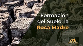 Formación del Suelo La Roca Madre [upl. by Yatnoed]