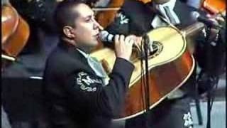 MARIACHI VARGAS DE TECALITLAN EL PASTOR [upl. by Letney]