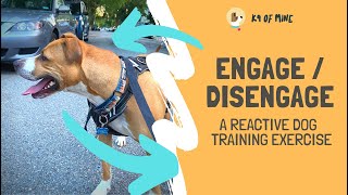 Engage  Disengage The Best Reactive Dog Training Exercise [upl. by Marybelle188]