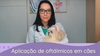 Medicamentos oftálmicos como aplicar no seu cachorro [upl. by Trocki]