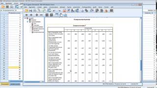 Explorative Faktorenanalyse mit SPSS [upl. by Rochella]