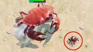 I AM THE KING OF ALL CRABS  King of Crabs  Ep1 [upl. by Aneerb]