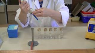 How to create serial dilutions [upl. by Foscalina]