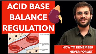 Acid Base Balance  Biochemistry  Renal Physiology [upl. by Colvert446]