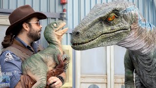 Jurassic World Raptor Experience Universal Studios [upl. by Elyssa83]