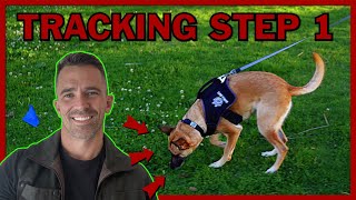 The First Step to Teach Your Dog Competitive Tracking [upl. by Maxine]