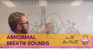 Abnormal Breath Sounds  Respiratory System [upl. by Avik]