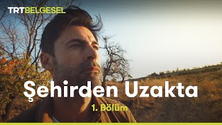 Şehirden Uzakta  Nevşehir  TRT Belgesel [upl. by Ettenhoj851]