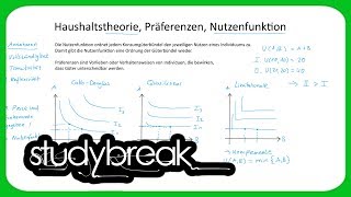 Haushaltstheorie Präferenzen Nutzenfunktion  Volkswirtschaftslehre [upl. by Antonino]