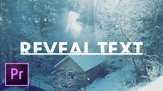 Text Reveal Effect TITLE in Premiere Pro Tutorial [upl. by Niobe]