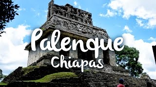 Palenque Chiapas que hacer en la zona arqueológica [upl. by Mich828]