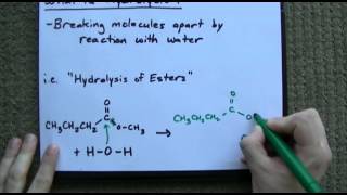 What is Hydrolysis  Examples [upl. by Hemingway126]