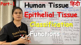 Tissue in Hindi  Epithelial Tissue  Functions  Classification  Part1 [upl. by Sirak425]