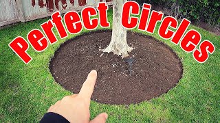 How to Cut Tree Rings [upl. by Birchard391]