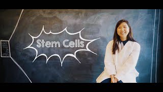 What Are Stem Cells [upl. by Schwinn570]