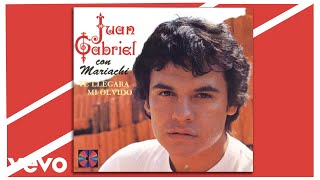 Juan Gabriel  Me Gusta Estar Contigo Cover Audio [upl. by Pansie]