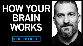 How Your Brain Works amp Changes [upl. by Rochella]