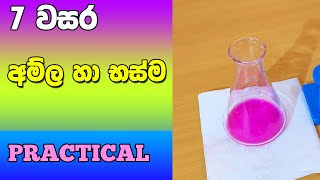 Grade 7 Science Unit 5  Acids and Bases  අම්ල හා භස්ම [upl. by Leciram]