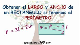 ¿Qué es la Ansiedad por Separación Causas Diagnóstico y Tratamiento [upl. by Pestana371]