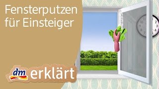 dm erklärt Haushalt für Einsteiger  Fenster putzen [upl. by Onailerua]