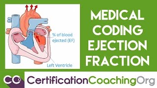 Medical Coding Ejection Fraction Diagnosis [upl. by Shaer656]