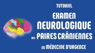 Examen neurologique des paires crâniennes en médecine d’urgence [upl. by Vasquez]