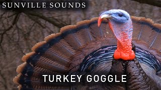 Turkey Gobble  Animal Sounds with Peter Baeten [upl. by Yong]