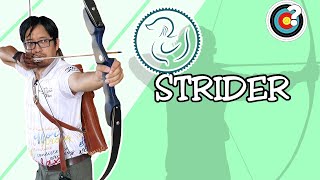 Archery  Mandarin Duck Strider Bow Review [upl. by Brunella]