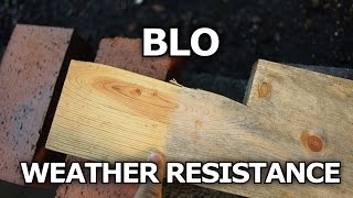 Boiled Linseed Oil Weather Resistance On Wood [upl. by Lauraine915]