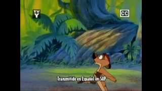 Disney  The Lion Kings Timon amp Pumbaa  Intro Multilanguage Part 1 [upl. by Elleined]