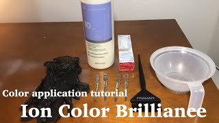 Color Application tutorial  Ion Color Brilliance for beginners [upl. by Chauncey]