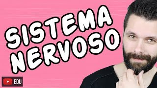 SISTEMA NERVOSO  FISIOLOGIA  Aula  Biologia com Samuel Cunha [upl. by Idnahc711]