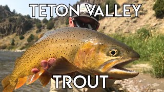 Teton Valley Trout  Ultimate Idaho Fly Fishing [upl. by Edana154]