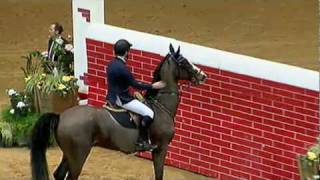 Machtigkeitsspringen 2nd Jump Off [upl. by Hairej]