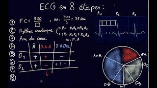 ECG en 8 étapes  Docteur Synapse [upl. by Illil783]