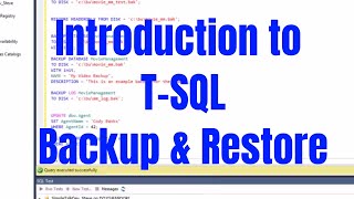 Introduction to SQL Server Backup and Restore Using TSQL [upl. by Nahtaj280]