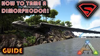 ARK HOW TO TAME A DIMORPHODON 2020  EVERYTHING YOU NEED TO KNOW ABOUT TAMING A DIMORPHODON [upl. by Dragde]