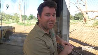 Virtual walking tour of Werribee Open Range Zoo [upl. by Farrish439]