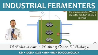 Food Production  Biotechnology  Fermenters  GCSE Biology 91 [upl. by Paxon254]