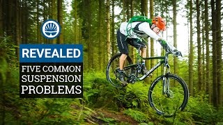 Five Common Suspension Problems amp How To Fix Them [upl. by Anamor]