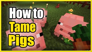 How to TAME a PIG in Minecraft amp Ride them Fast Method [upl. by Rubenstein]