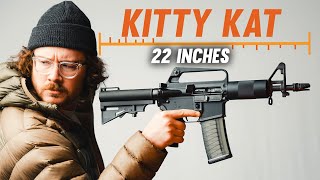 The Gun That Proves Size Really Does Matter DPMS Kitty Kat [upl. by Nilok]