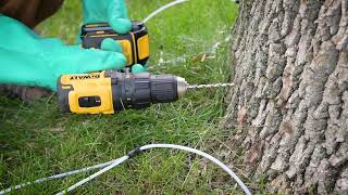 Proper Drill Technique for Tree Injection [upl. by Noll]