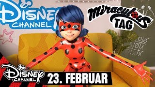 Freu dich auf den MiraculousTag  MIRACULOUS 🐞🐱 [upl. by Waddell]