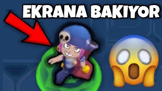 BRAWL STARS KARAKTERLERİ BİZİ İZLİYOR MU  Tüm Gizemler [upl. by Rodavlas]