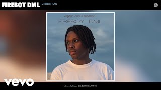 Fireboy DML  Vibration Audio [upl. by Magbie]