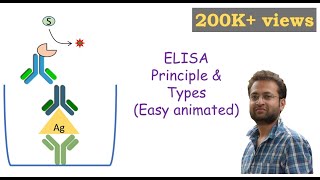 ELISA Enzymelinked Immunosorbent Assay [upl. by Zehc]