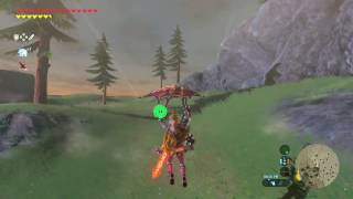 Zelda Breath of the Wild  Lynel Location 5 Zoras Domain  Ploymus Mountain [upl. by Eiromem]