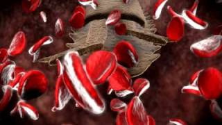 Life cycle of Babesia microti [upl. by Nnairac]